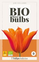 Bio tulp ballerina 7 bollen - afbeelding 2