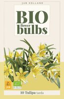 Bio tulp dasystemon tarda 7 bollen