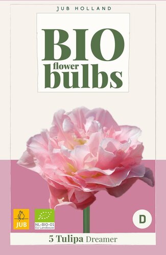 Bio tulp dreamer 5 bollen - afbeelding 3