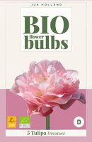 Bio tulp dreamer 5 bollen - afbeelding 3