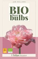 Bio tulp dreamer 5 bollen