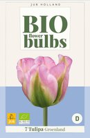 BIO tulp groenland 7 bollen - afbeelding 1