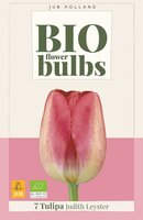 Bio tulp Judith Leyster 7 bollen