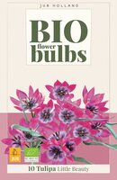 Bio tulp Little Beauty 7 bollen