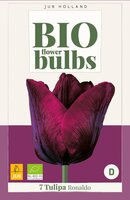 Bio Tulp Ronaldo 7 bollen - afbeelding 3