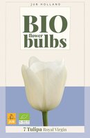 Bio tulp royal virgin 7 bollen