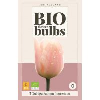 TULP SALMON IMPRESSION