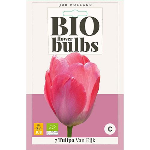 Bio tulp van Eijk 7 bollen