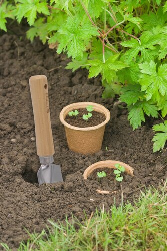 Nature kweek biopotten 10.5 cm 3 stuks - afbeelding 2