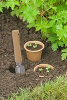 Nature kweek biopotten 10.5 cm 3 stuks - afbeelding 2
