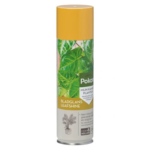 Pokon bladglans 250ml