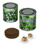 Boeketje in blik klavertje vier