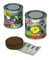 Boeketje in blik vlinder en bijen mix BIO