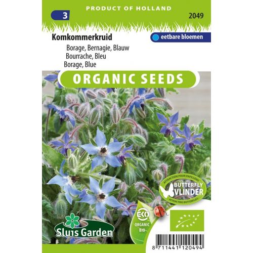 Borage blauw, komkommerkruid Borago officinalis BIO