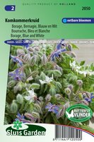 Borage zaden blauw en wit