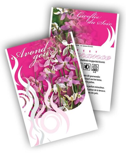 Cadeau premium Matthiola (100 zakjes)