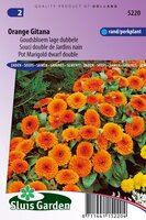 Calendula Officinalis zaden Orange Gitana goudsbloem