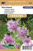 Inheemse Centaurea scabiosa Grote Centaurie zaden