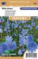 Inheemse Cichorium intybus Wilde Cichorei zaden