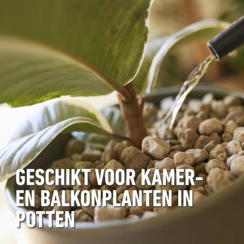 Compo bio granuplant 10 liter - afbeelding 2