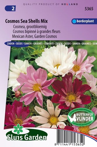 Cosmos Bipinnatus zaden Sea Shells cosmea