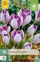 Crocus Vanguard 10 bollen - afbeelding 2