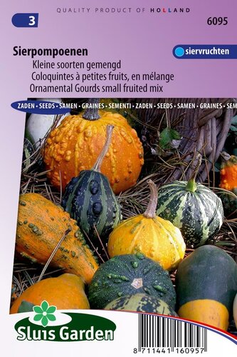 Cucurbita Pepo zaden Sierkalebas sierpompoen