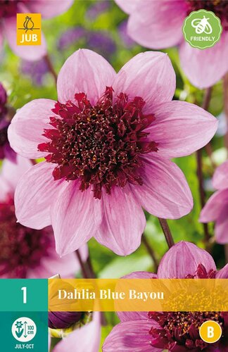 Dahlia Blue bayou - afbeelding 1