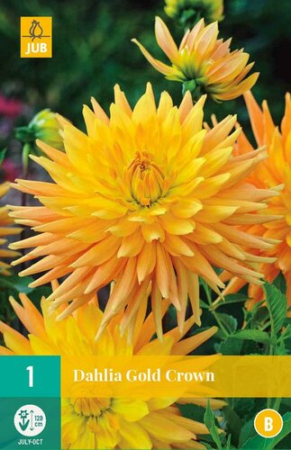 Dahlia gold crown - afbeelding 1