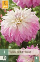 Dahlia pink petticoat