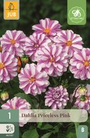 Dahlia priceless pink - afbeelding 1