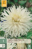 Dahlia Tsuki yori no shisha