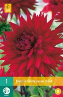 Dahlia Witteman's best - afbeelding 2