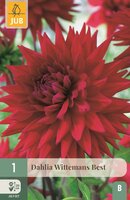 Dahlia Witteman's best