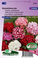 Dianthus Barbatus zaden Duizendschoon Enkel