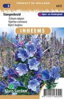 Inheemse Echium vulgare Slangenkruid zaden