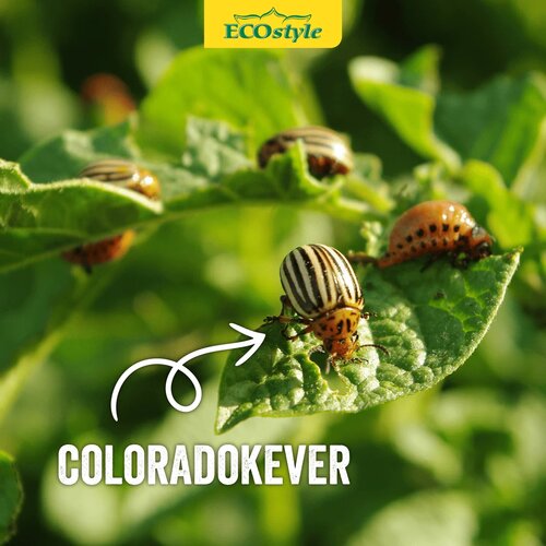 Ecostyle aaltjes tegen coloradokever 10 m² - afbeelding 3