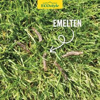 Ecostyle Aaltjes tegen emelten 50m² - afbeelding 3