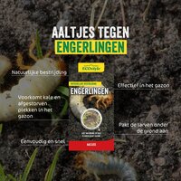Ecostyle Aaltjes tegen engerlingen 500 m² - afbeelding 2