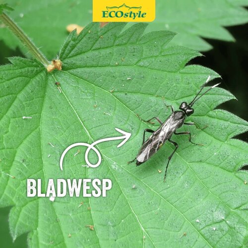 Ecostyle Aaltjes tegen larven bladwesp 60 m² - afbeelding 2