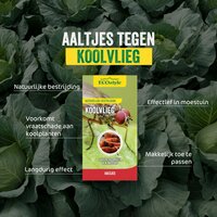 Ecostyle aaltjes tegen larven koolvlieg 60 m2 - afbeelding 2