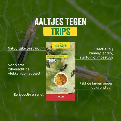 Ecostyle Aaltjes tegen larven trips 100 m² - afbeelding 2