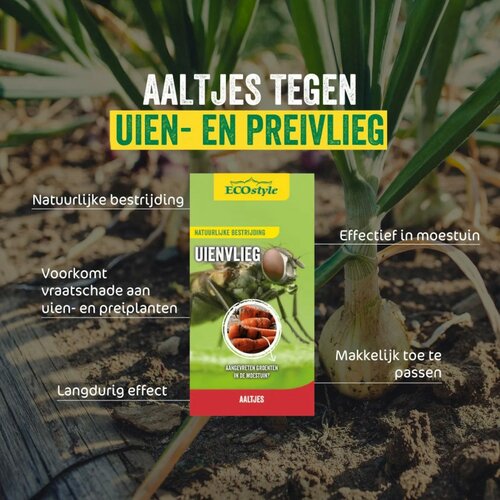 Ecostyle aaltjes tegen larven uienvlieg 60 m2 - afbeelding 2