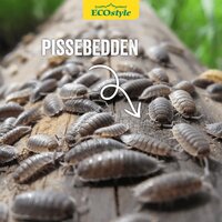 Ecostyle aaltjes tegen pissebedden val - afbeelding 2