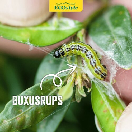 Ecostyle Aaltjes tegen rupsen van de buxusmot 20 m² - afbeelding 2