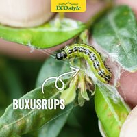 Ecostyle Aaltjes tegen rupsen van de buxusmot 20 m² - afbeelding 2