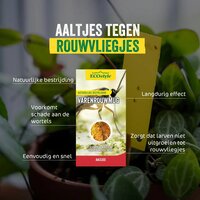 Ecostyle Aaltjes tegen varenrouwmug 25-50 planten - afbeelding 2