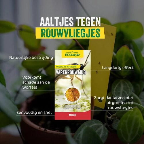 Ecostyle Aaltjes tegen varenrouwmug 50-100 planten - afbeelding 2