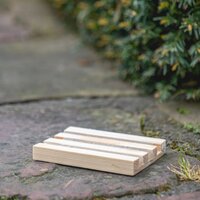 Ecostyle Aaltjesval tegen taxuskevers - afbeelding 4