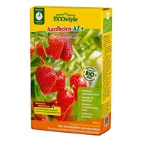 Ecostyle Aardbeien-az 800 gram